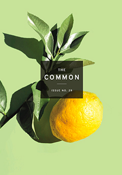 raffia memory the common magazine